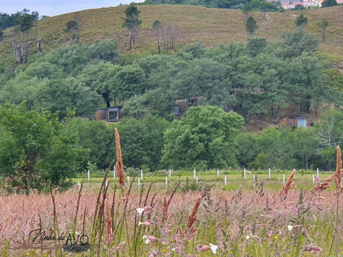 Villa Ninho Da Avo Selvagem Montalegre Esterno foto