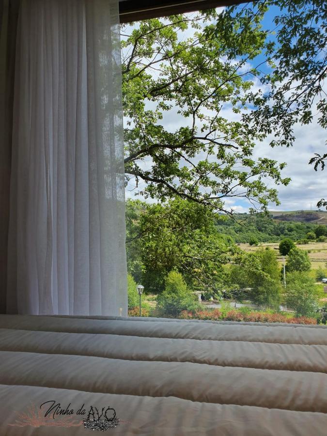 Villa Ninho Da Avo Selvagem Montalegre Esterno foto