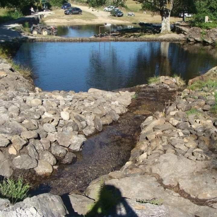 Villa Ninho Da Avo Selvagem Montalegre Esterno foto