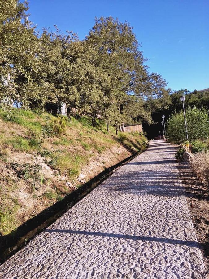 Villa Ninho Da Avo Selvagem Montalegre Esterno foto
